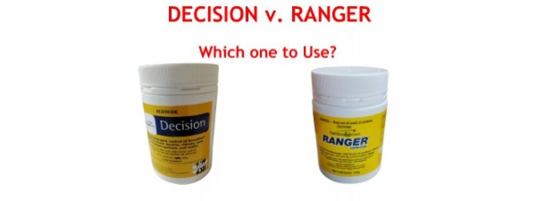 Buttercup Weed Killer - which is best?  Decision or Ranger