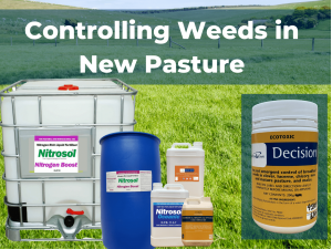 Controlling Weeds in New Pasture