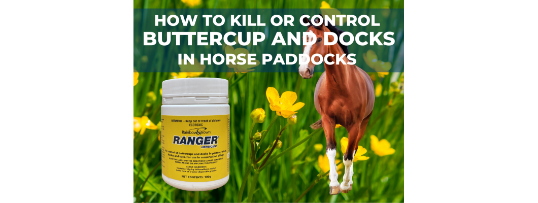 RANGER HERBICIDE FOR HORSE PASTURES
