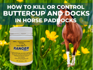 RANGER HERBICIDE FOR HORSE PASTURES