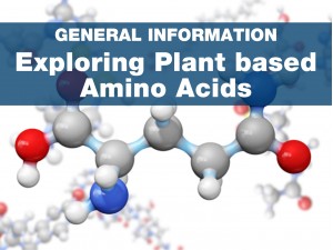 Exploring the Potential of Plant Based Amino Acids