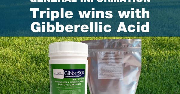 WHY USE GIBBERELLIC ACID?