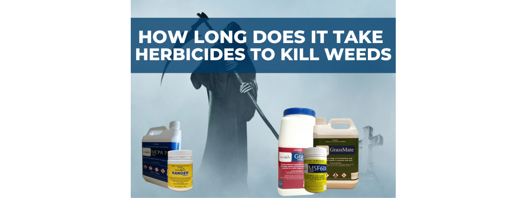 How Long Does it take for Herbicides to Kill Weeds