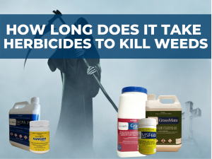 How Long Does it take for Herbicides to Kill Weeds
