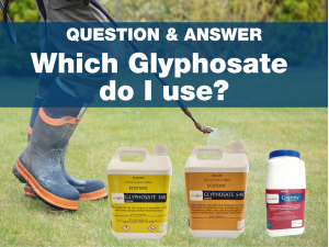 Which Glyphosate to Use