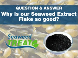 Why is Rainbow & Brown Seaweed Extract Flake so good?