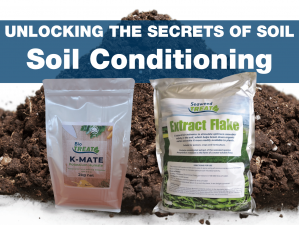 Unlocking the Secrets of Soil: A Beginner's Guide to the Art of Soil Conditioning