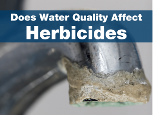 Does Water Quality Affect Herbicides?