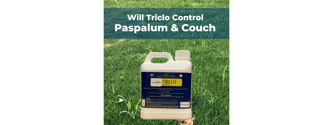 WILL TRICLO CONTROL PASPALUM AND COUCH?