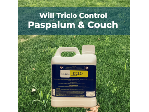WILL TRICLO CONTROL PASPALUM AND COUCH?