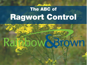 The ABC of Ragwort Control