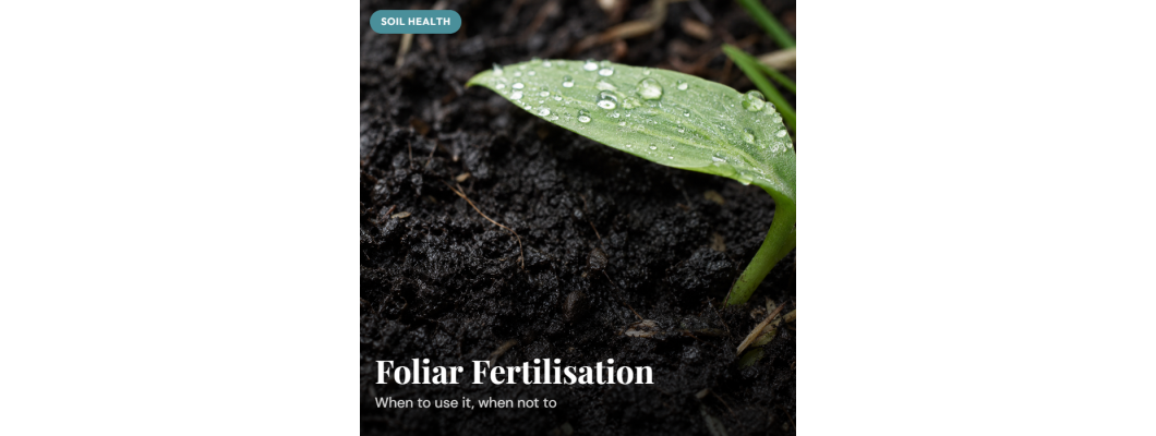 Foliar Fertilisation in NZ: When It Works, When It Doesn't, and How to Get It Right