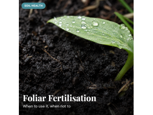 Foliar Fertilisation in NZ: When It Works, When It Doesn't, and How to Get It Right