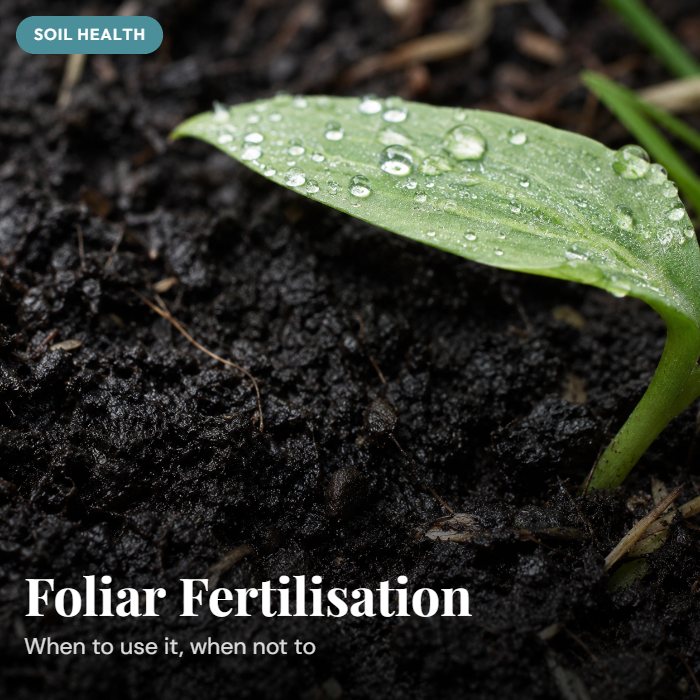 Foliar Fertilisation in NZ: When It Works, When It Doesn't, and How to Get It Right