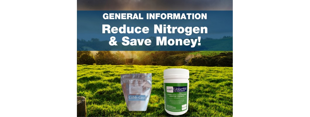 Reduce Nitrogen, Save Money
