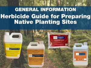 Herbicide Guide for Preparing Native Planting Sites