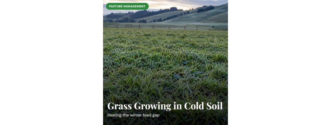 Grass stopped growing? It's just idling, not done
