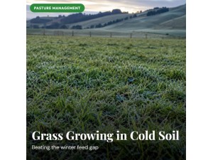 Grass stopped growing? It's just idling, not done