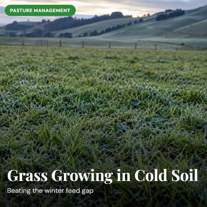 Grass stopped growing? It's just idling, not done