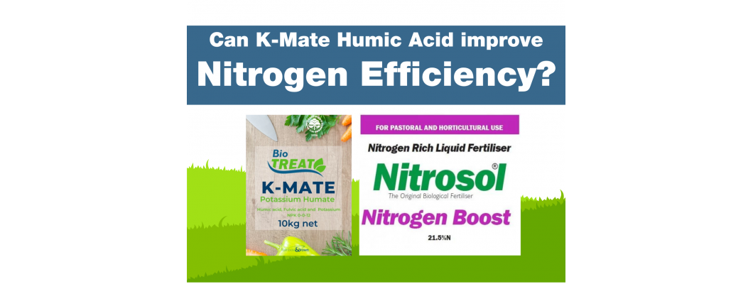Can K-Mate Humic Acid (Potassium Humate) improve Nitrogen efficiency?