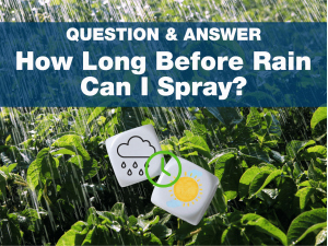 Spraying and Rain - Timing it Right