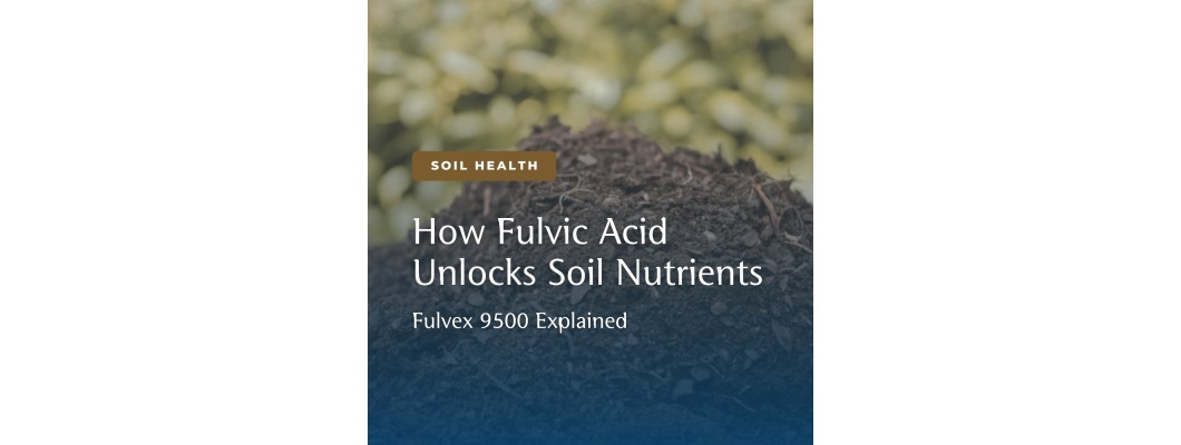 Fulvic Acid Explained: How Fulvex 9500 Unlocks Nutrients Plants Can Actually Use