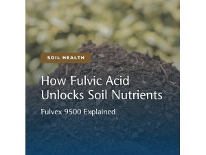 Fulvic Acid Explained: How Fulvex 9500 Unlocks Nutrients Plants Can Actually Use