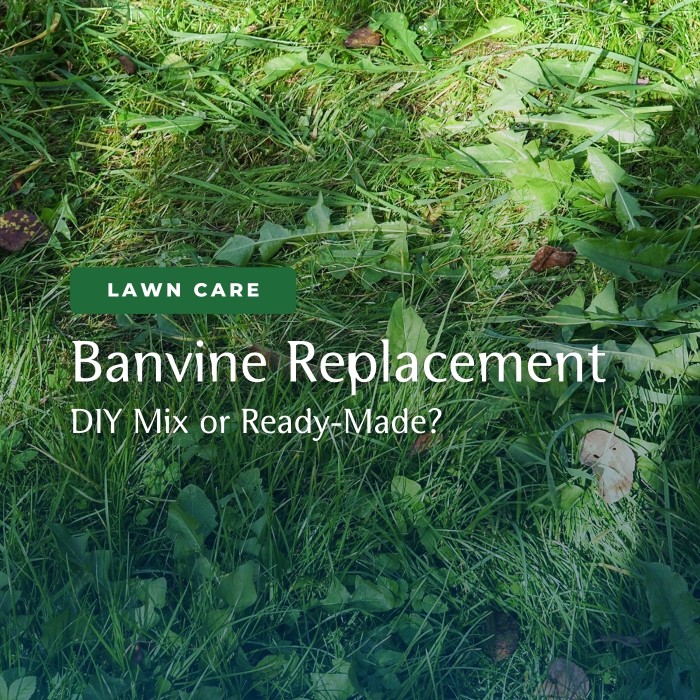 What to Use Instead of Banvine