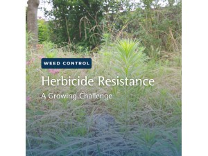 Herbicide Resistance: What it is, Why it happens & How to stay ahead