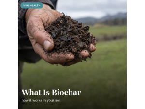 What Is Biochar and How Does It Work in NZ Soil?