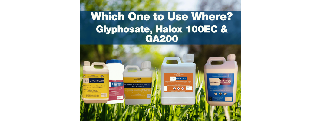 Glyphosate, Halox 100EC and GA200 - Which One to Use Where?