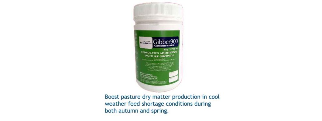 GIBBER 900 AND LAWNS