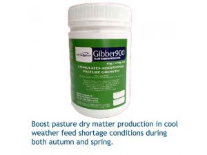 GIBBER 900 AND LAWNS