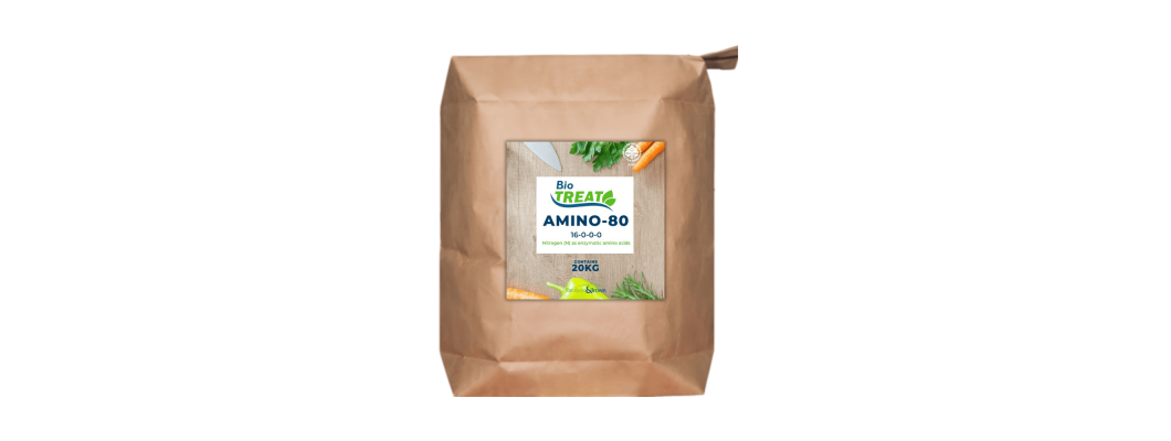 Amino Acid 80