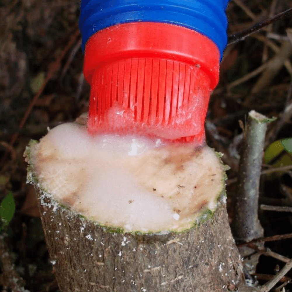 Cut'n'Paste replacement applicator brush and cap.