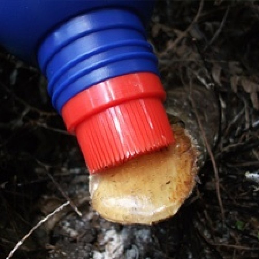 Cut'n'Paste replacement applicator brush and cap.