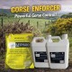 GORSE ENFORCER PACK