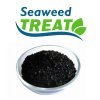 Seaweed Treat