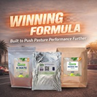 WINNING FORMULA 