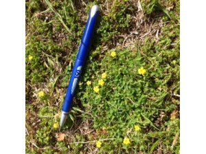 WEED IDENTIFICATION & CONTROL : OXALIS