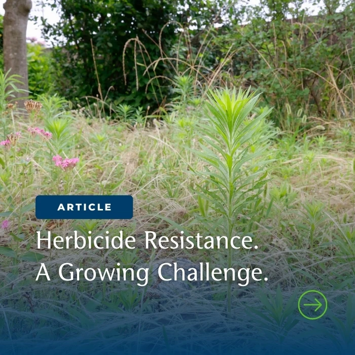 Herbicide Resistance: What it is, Why it happens & How to stay ahead