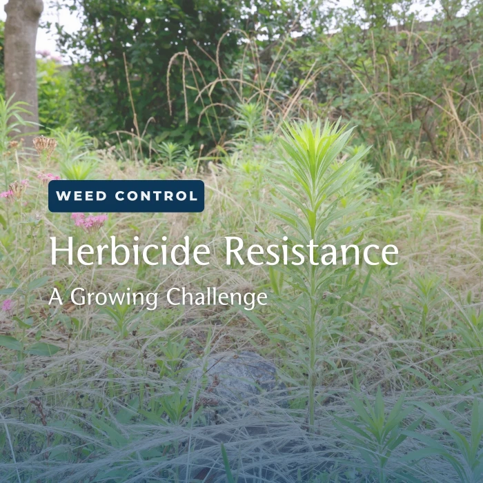 Herbicide Resistance: What it is, Why it happens & How to stay ahead