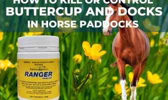 RANGER HERBICIDE FOR HORSE PASTURES