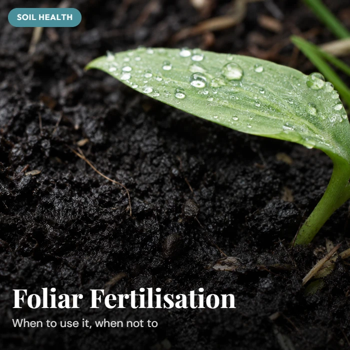 Foliar Fertilisation in NZ: When It Works, When It Doesn't, and How to Get It Right